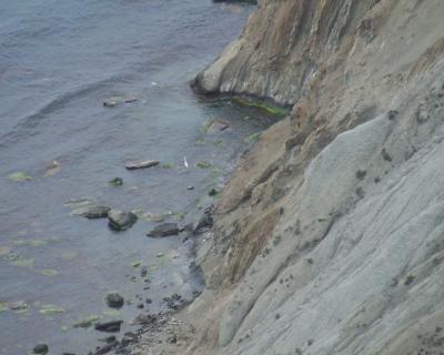 Прикрепленное изображение: 506.jpg